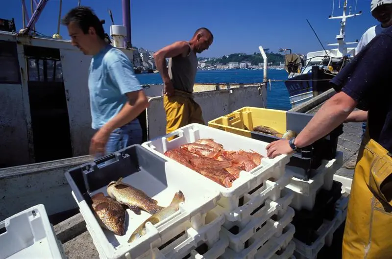 Criée de Poulgoazec