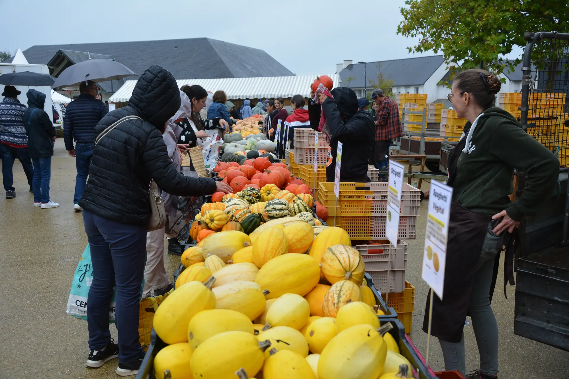 Marche de cucurbitacés - Pouldreuzic - Pays Bigouden