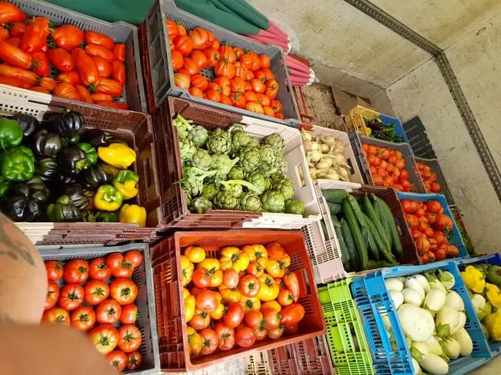 FB_IMG_1644399482794