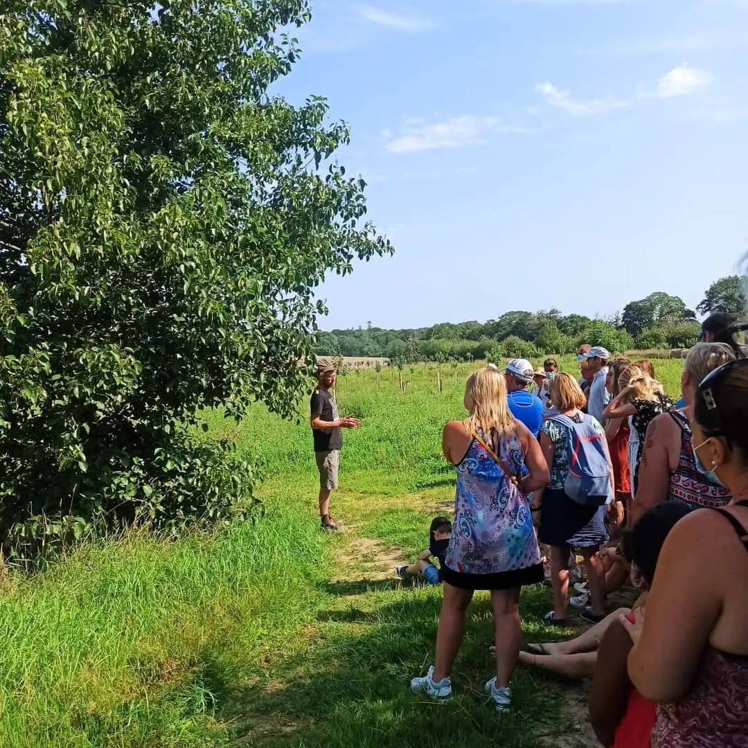 FB_IMG_1656779695115