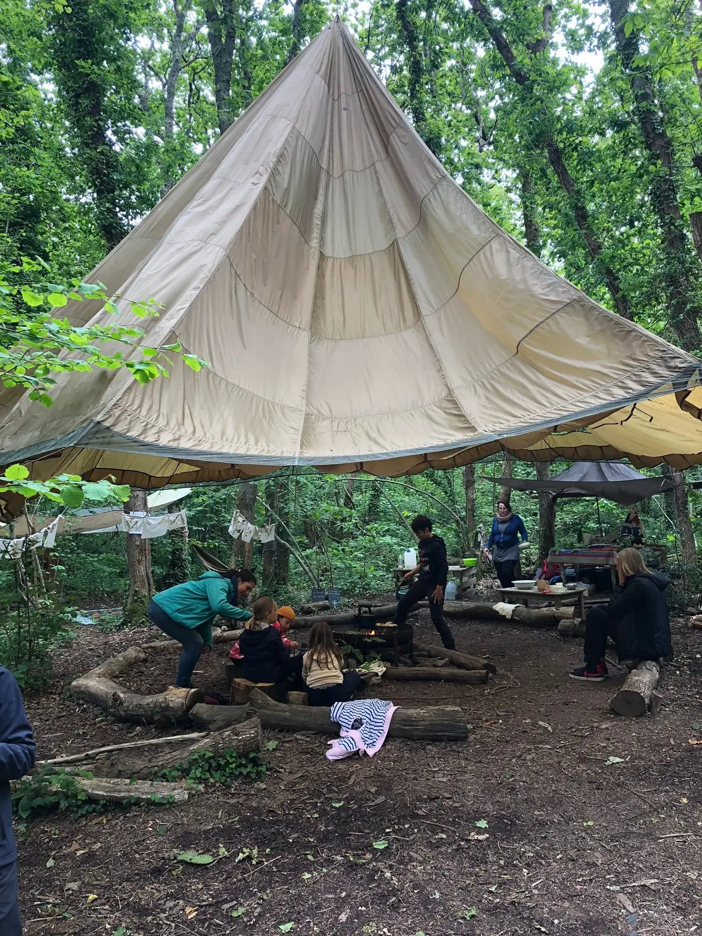 Forest Cool