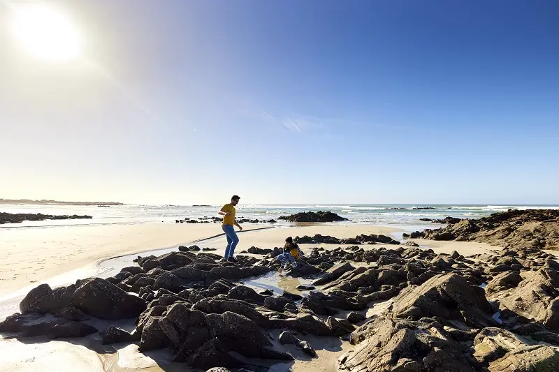 Printemps de l'estran  Pouldreuzic - Pays Bigouden