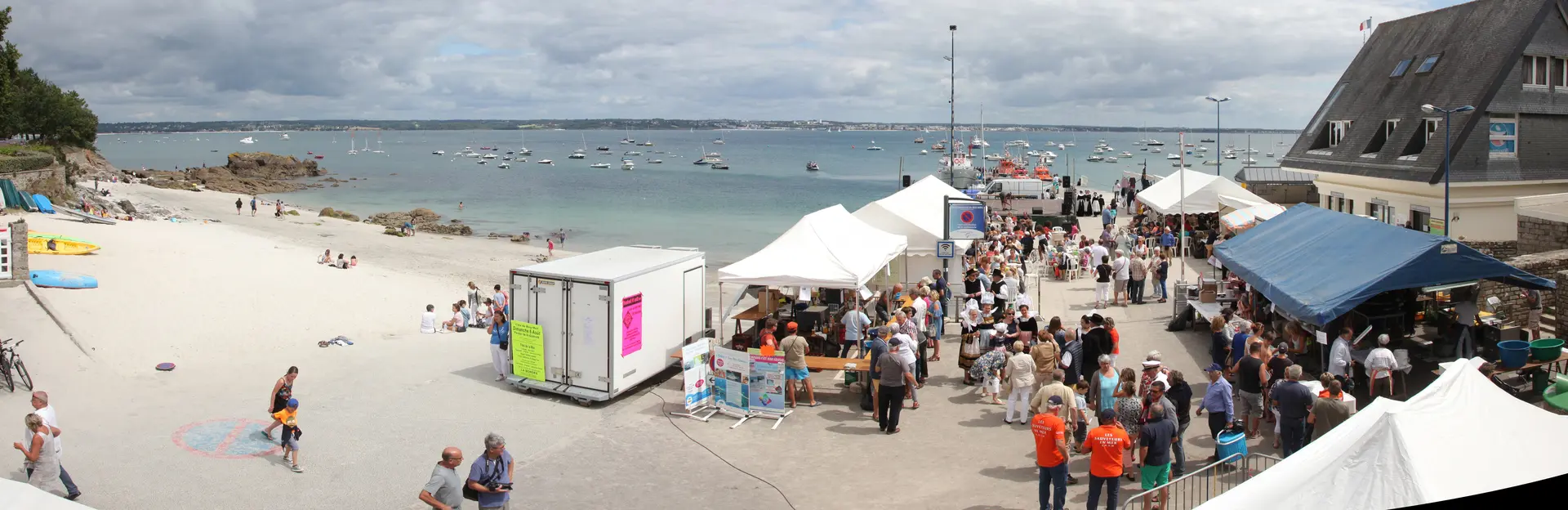 IMG_0484_IMG_0485-2 images_0000