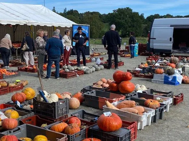 vente de curcubitacés
