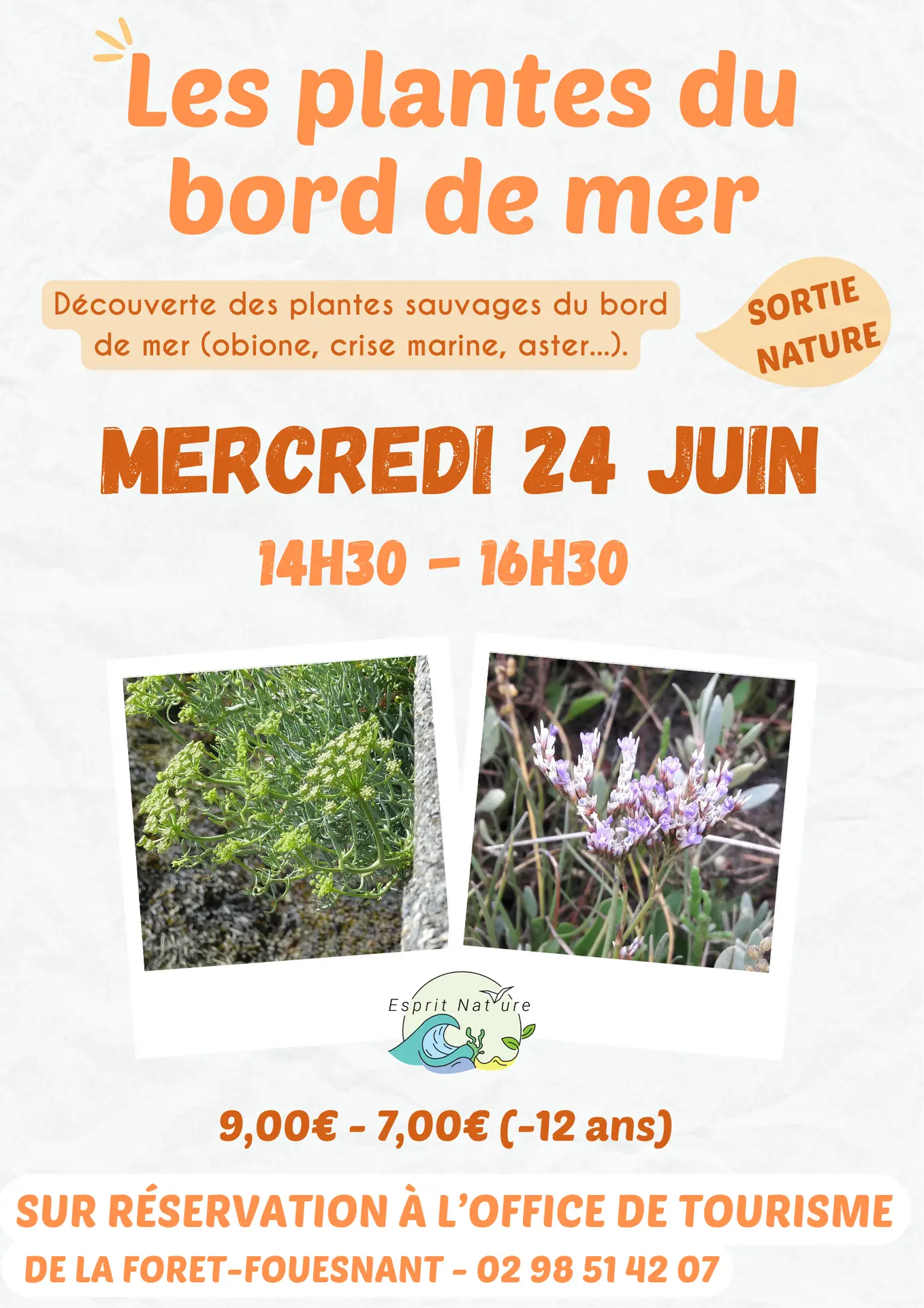 Les plantes du bord de mer 2026 - 3
