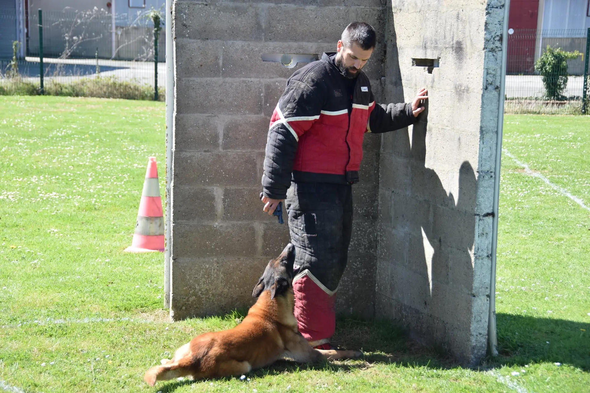 Concours chiens de travail -Plobannalec-Lesconil - Paysbigouden