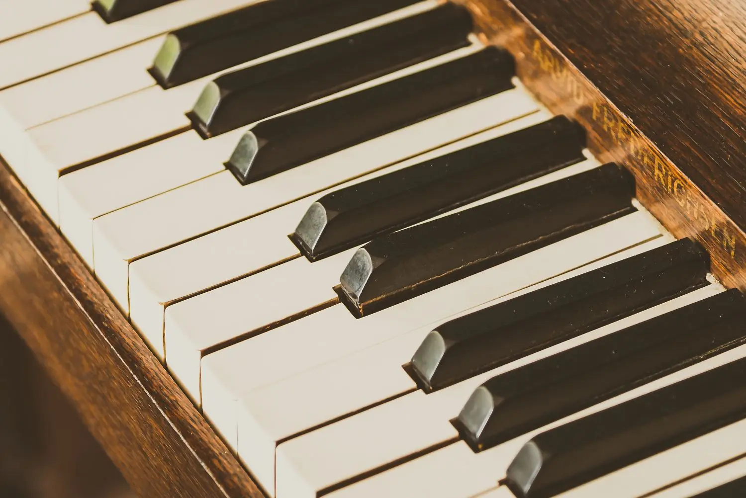 Les concerts chez Cathy - Penmarc'h - Pays bigouden