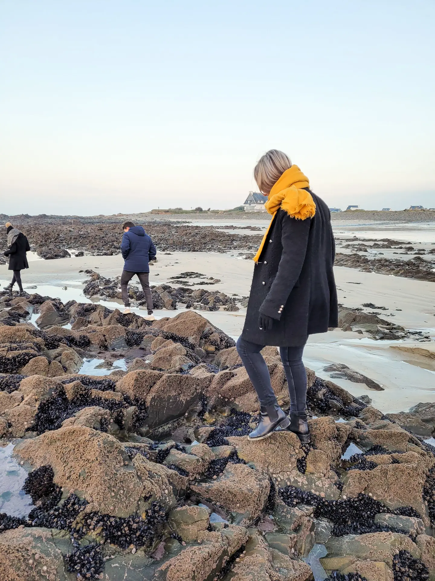 Sortie nature - Plozevet - Pays bigouden