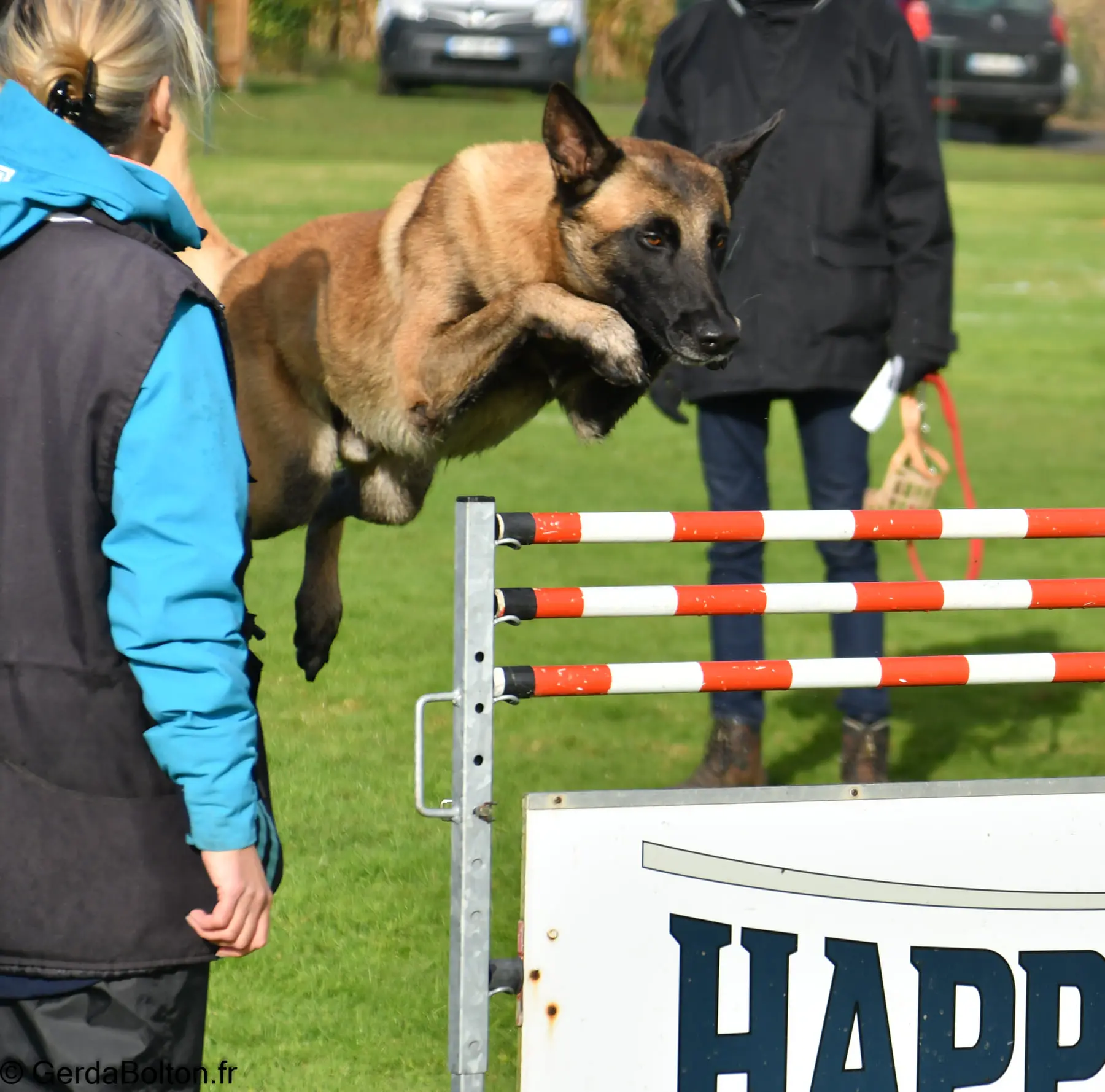 Concours chiens de travail -Plobannalec-Lesconil - Paysbigouden