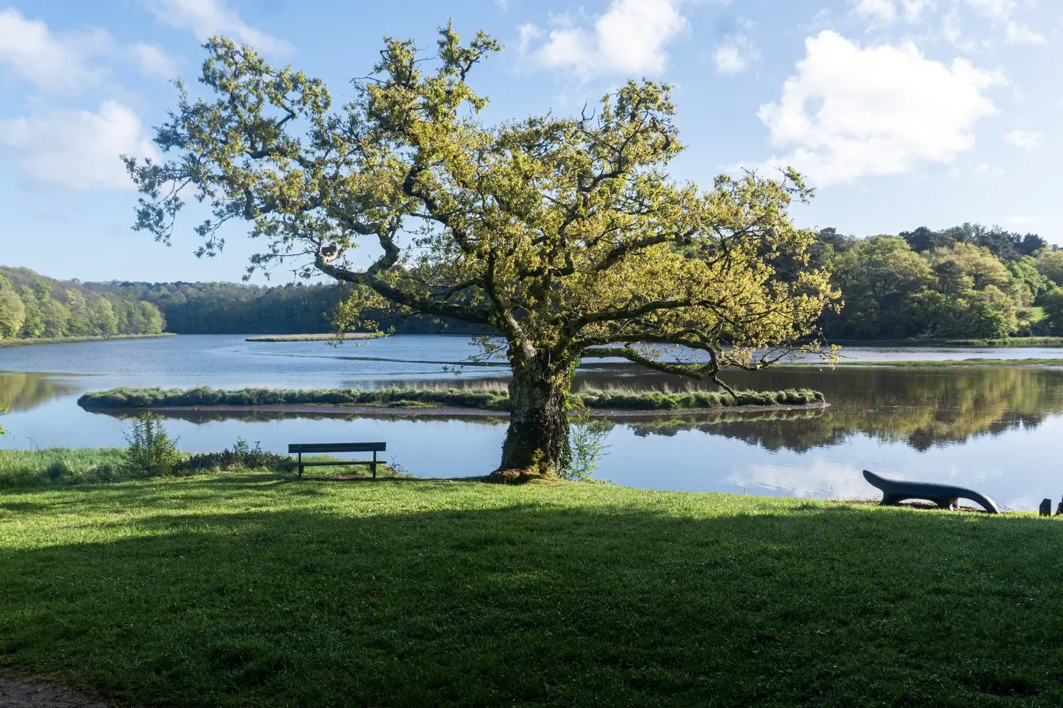 Site abbatial de Saint-Maurice-Clohars-Carnoët_SDNR_042025_Amélie Quimperlé les rias-1