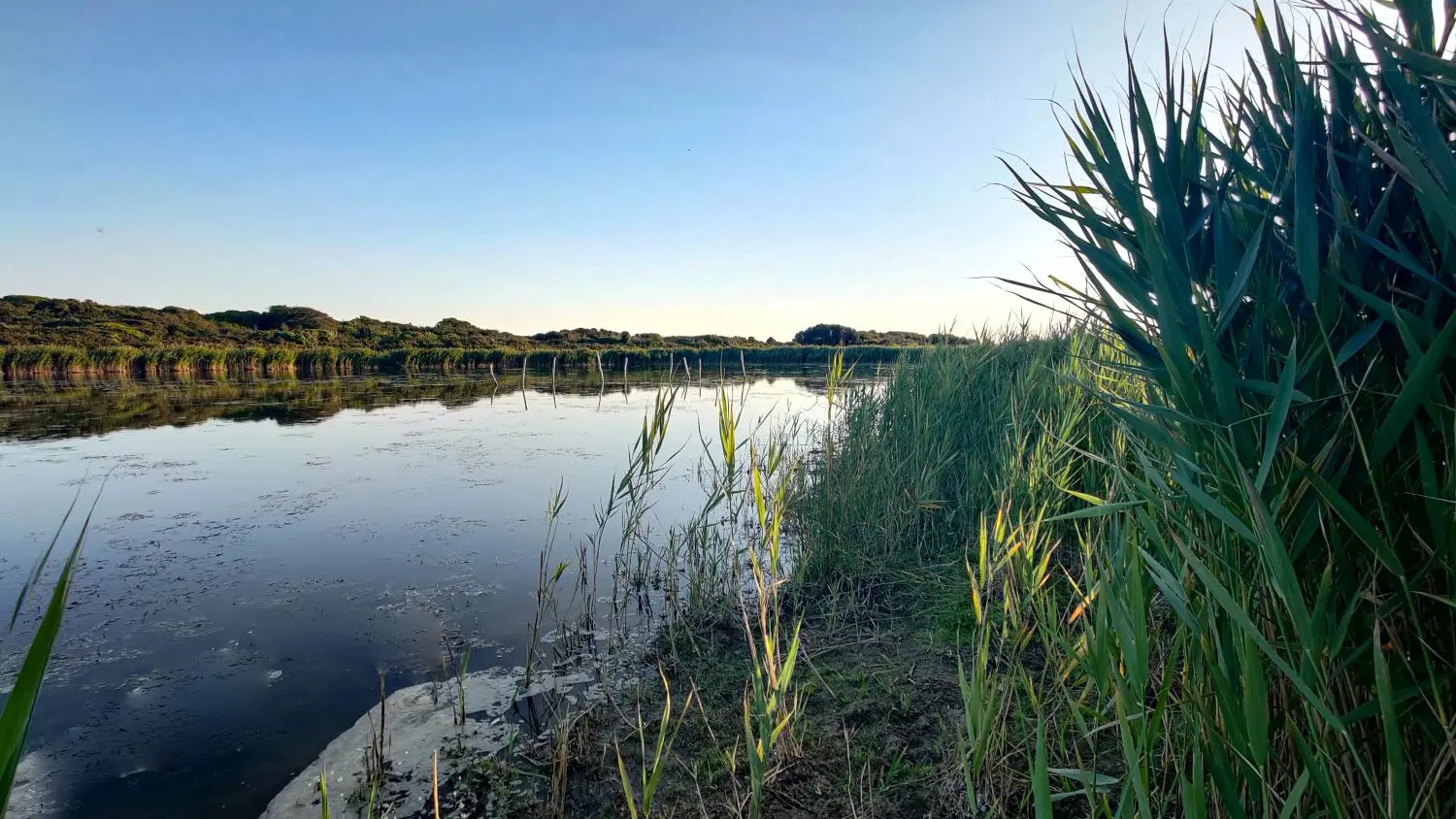 Chantier participatif - Treguennec - Pays bigouden