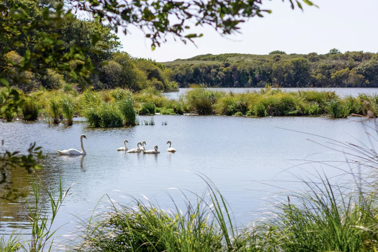 Rendez-vous nature - Tréguennec - Pays bigouden