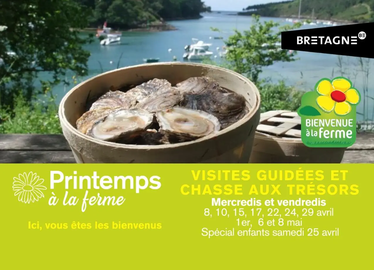 Visite et chasse aux trésors