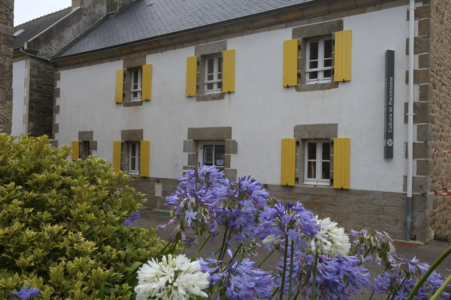 Volets jaune