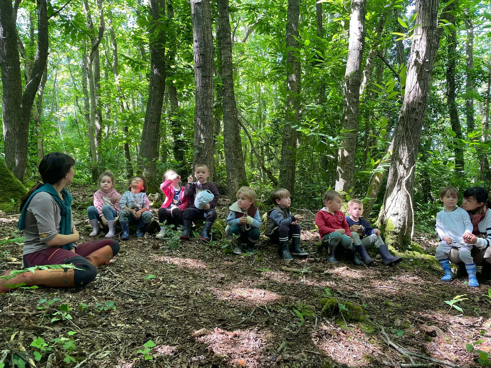 A l'écoute des oiseaux
