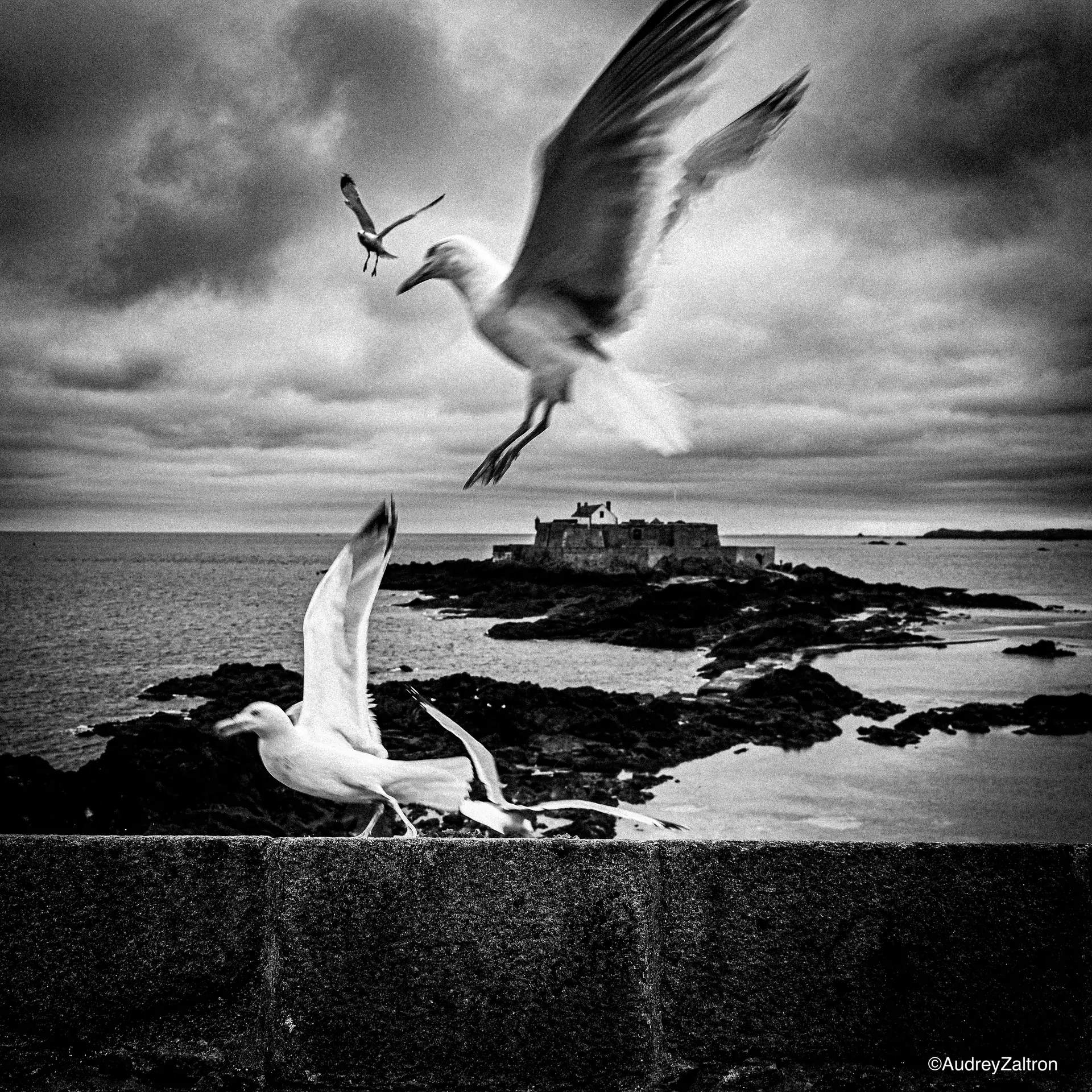 Festival Photo La mer en partage - Guilvinec Léchiagat - Pays bigouden