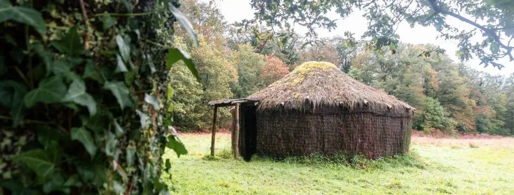 a-la-decouverte-de-la-foret-de-coatloc-h