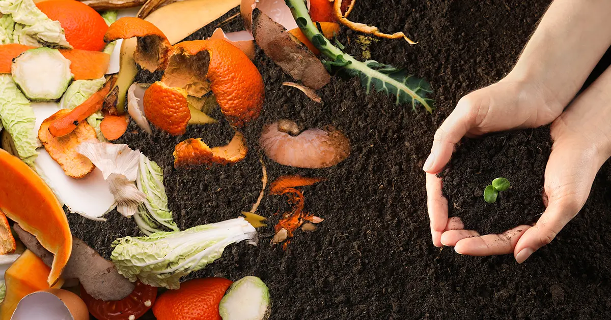 Organic waste for composting on soil and woman holding green seedling, top view. Natural fertilizer
