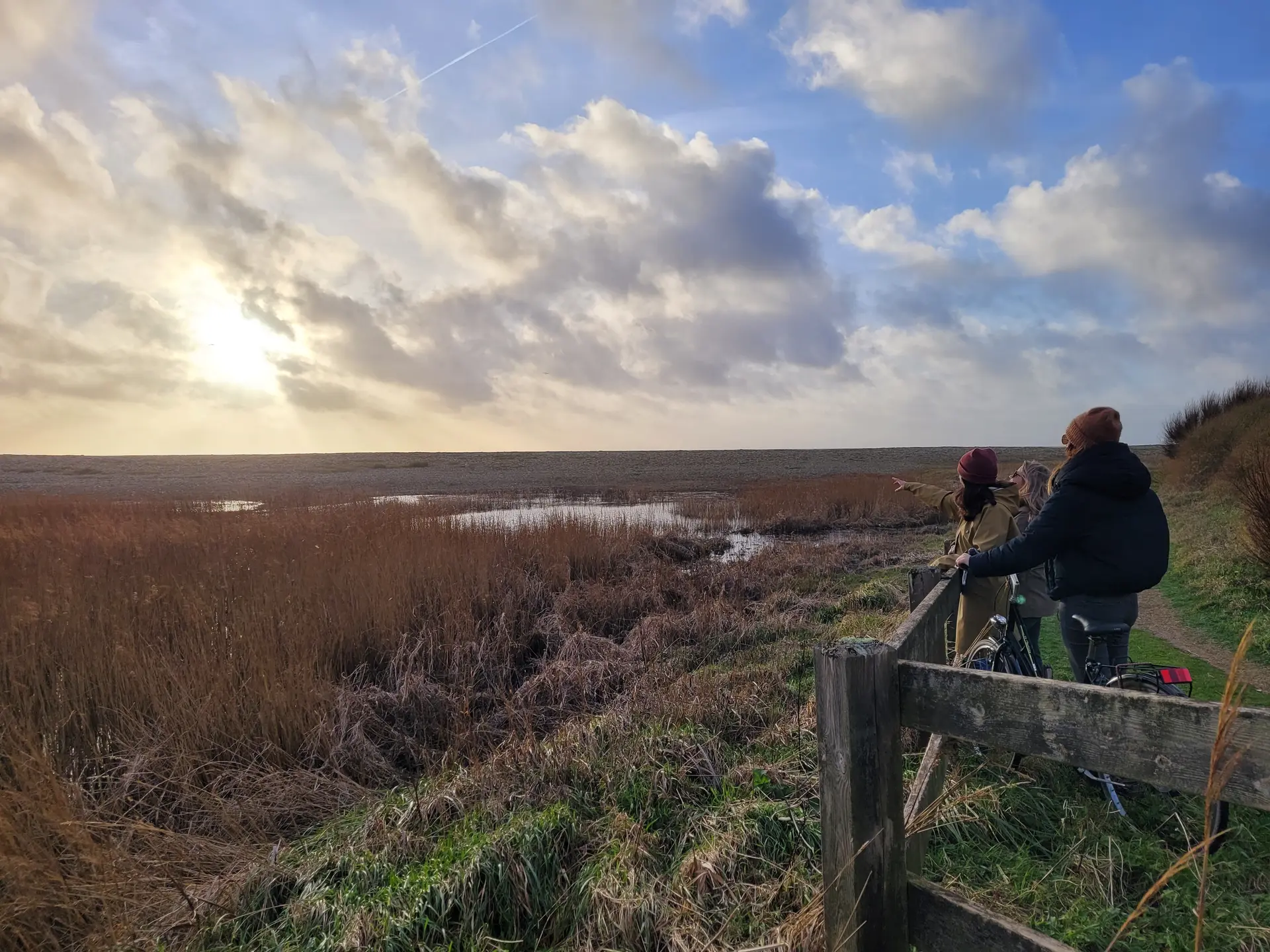 Sortie nature - Plovan - Pays Bigouden