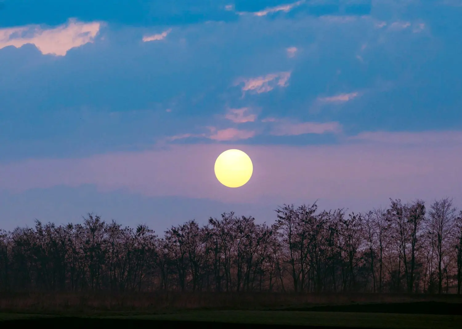 Rendez-vous nature - Combrit - Pays bigouden