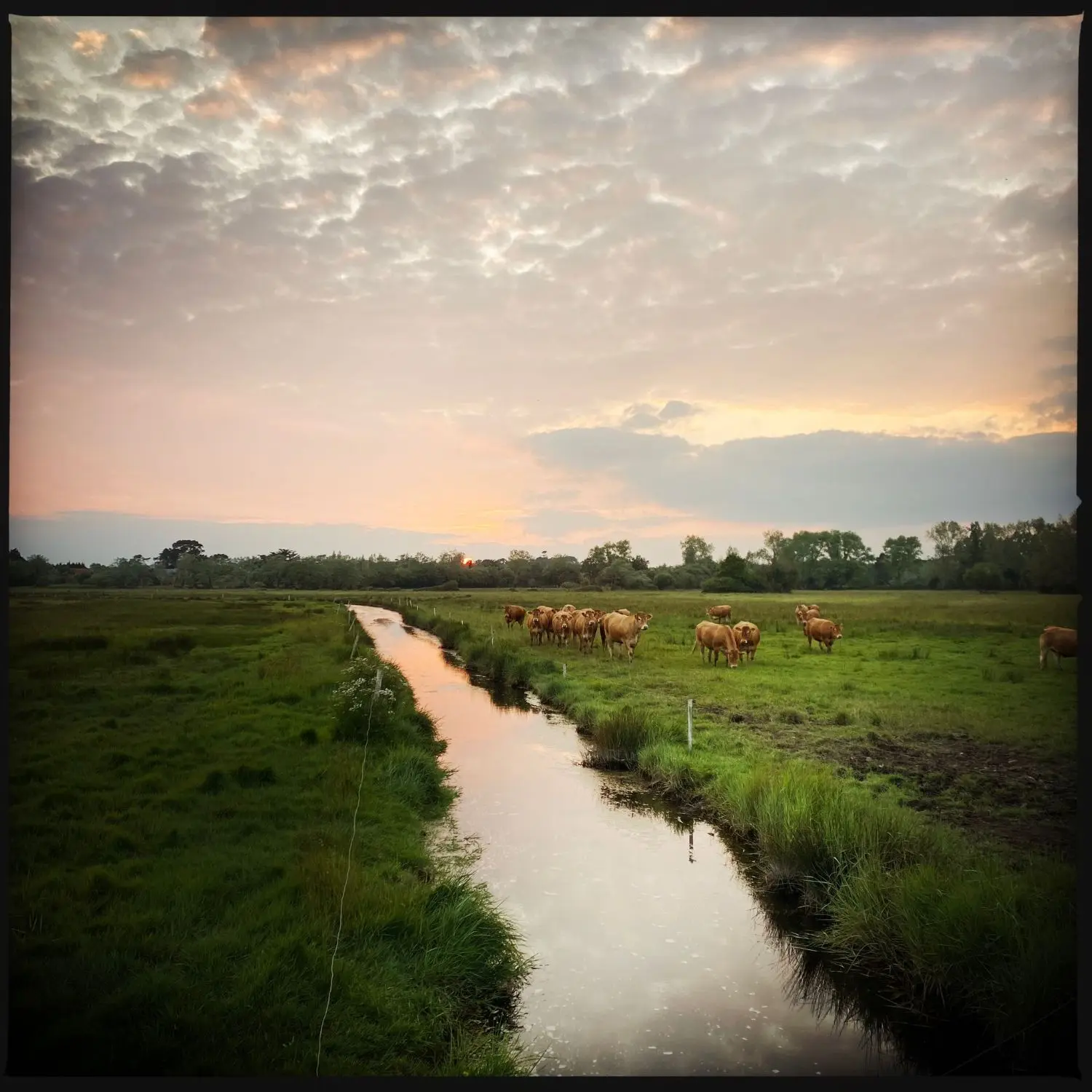 Balade sur le polder - Combrit Sainte-Marine - Pays bigouden
