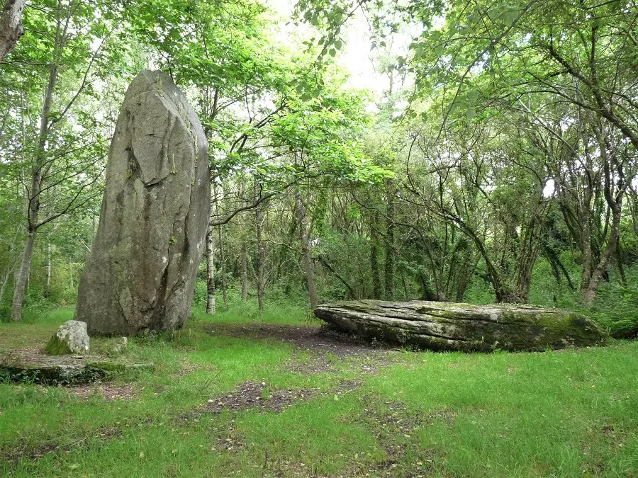 Sortie nature - Peumerit - Pays Bigouden