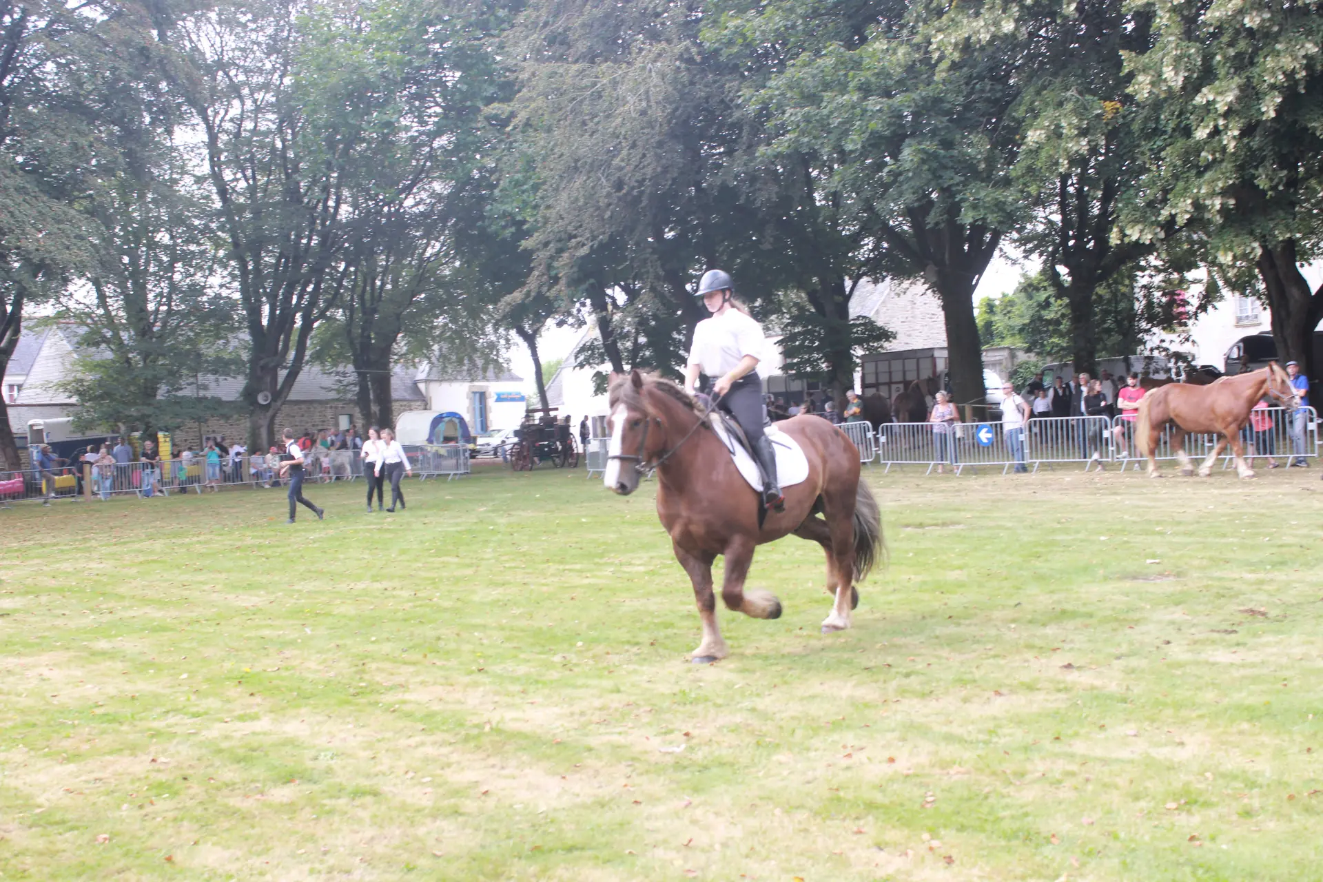 Fête du cheval et de la forge
