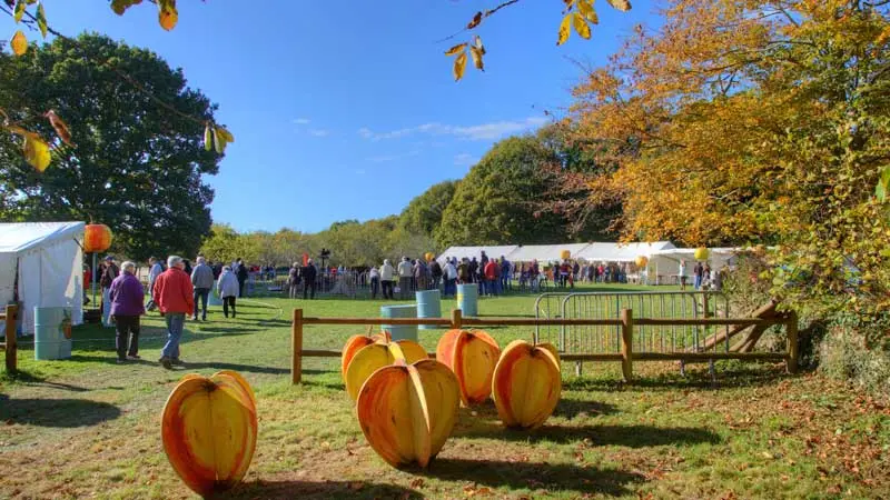 fetedelapomme