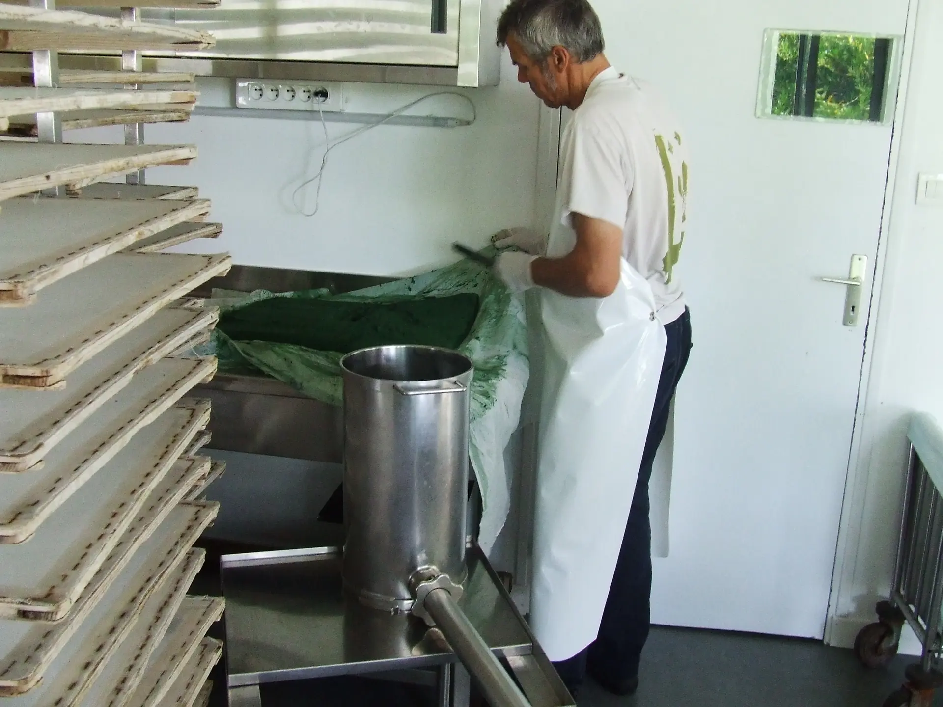 galette Spiruline