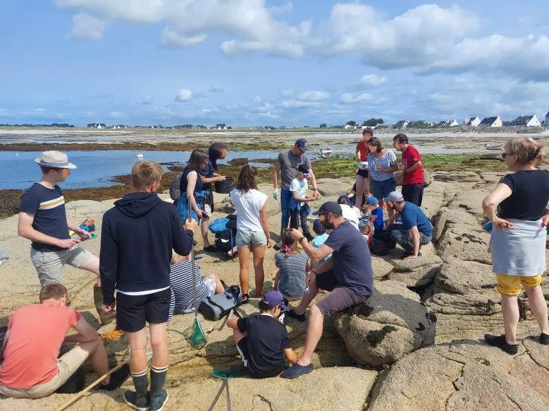 Découverte de l'estran - Pêche à pied - Pays bigouden - Bigoudenjoy