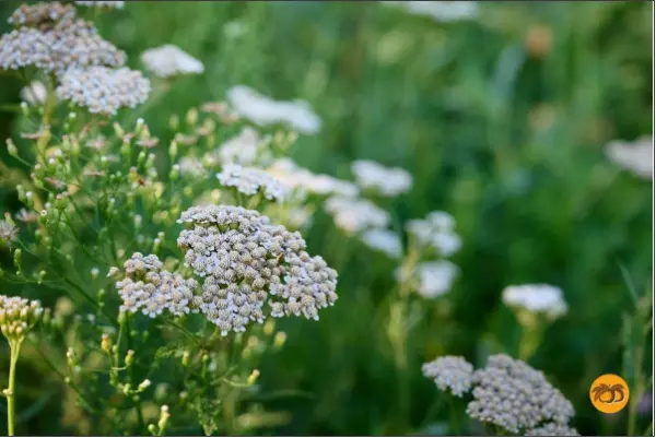 Atelier - Cidrerie Kerné - Pouldreuzic - Pays Bigouden