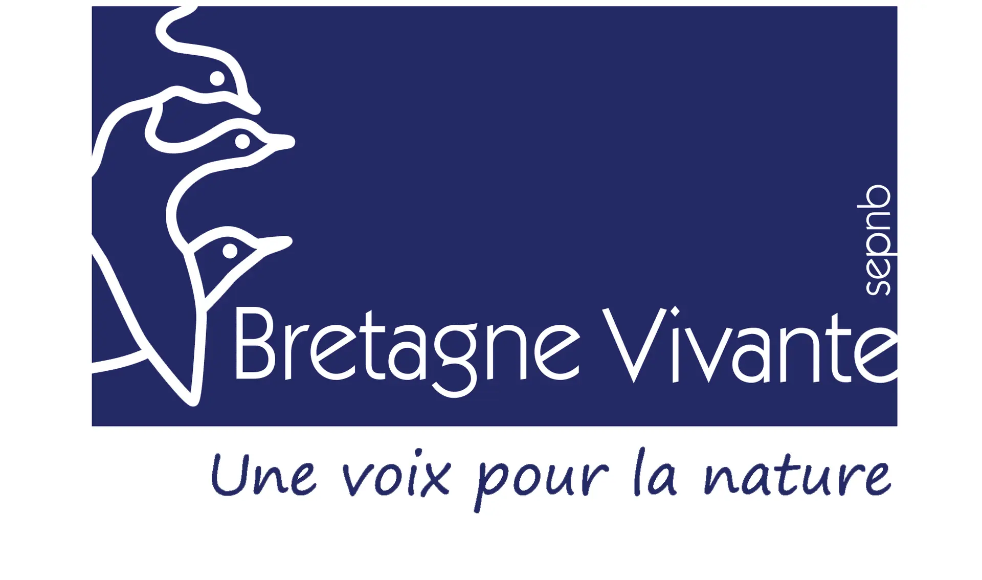 logo_BV3-1