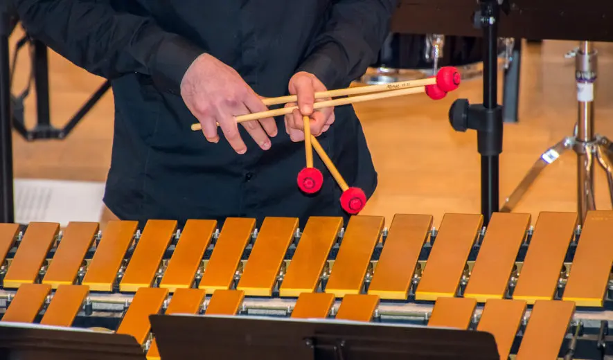 marimba-site-885x520