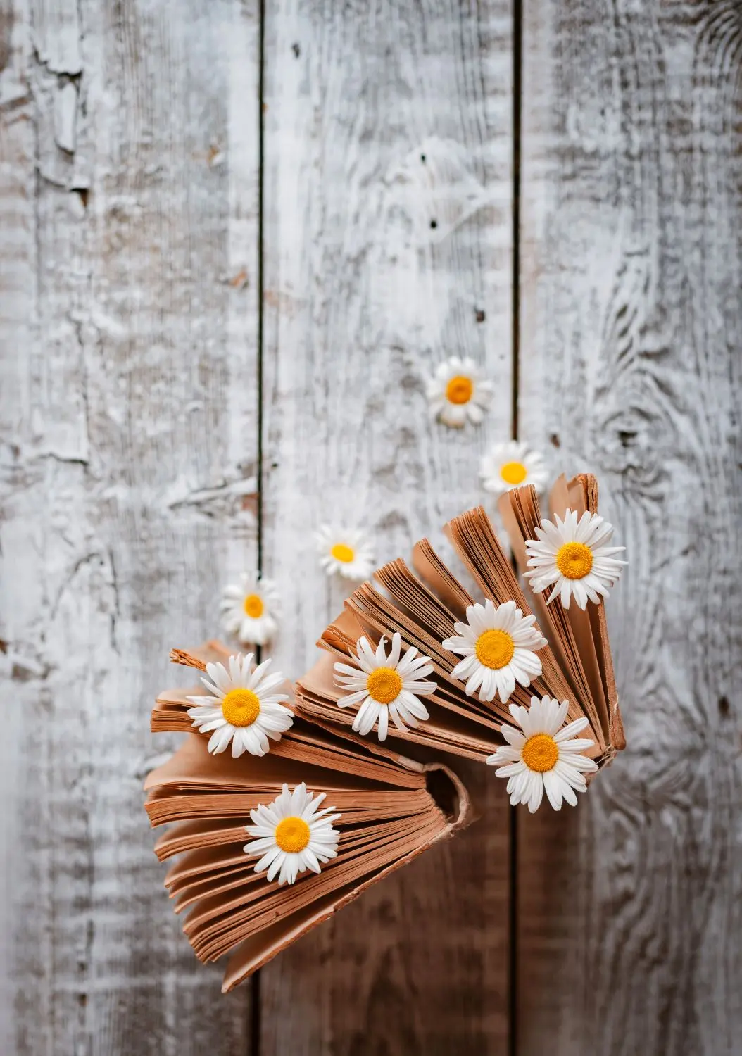 Printemps des Poètes She & Il - Treffiagat-Léchiagat - Pays bigouden