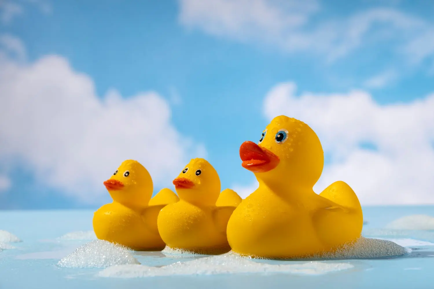 Course de canards - Pont-l'Abbé - Pays bigouden