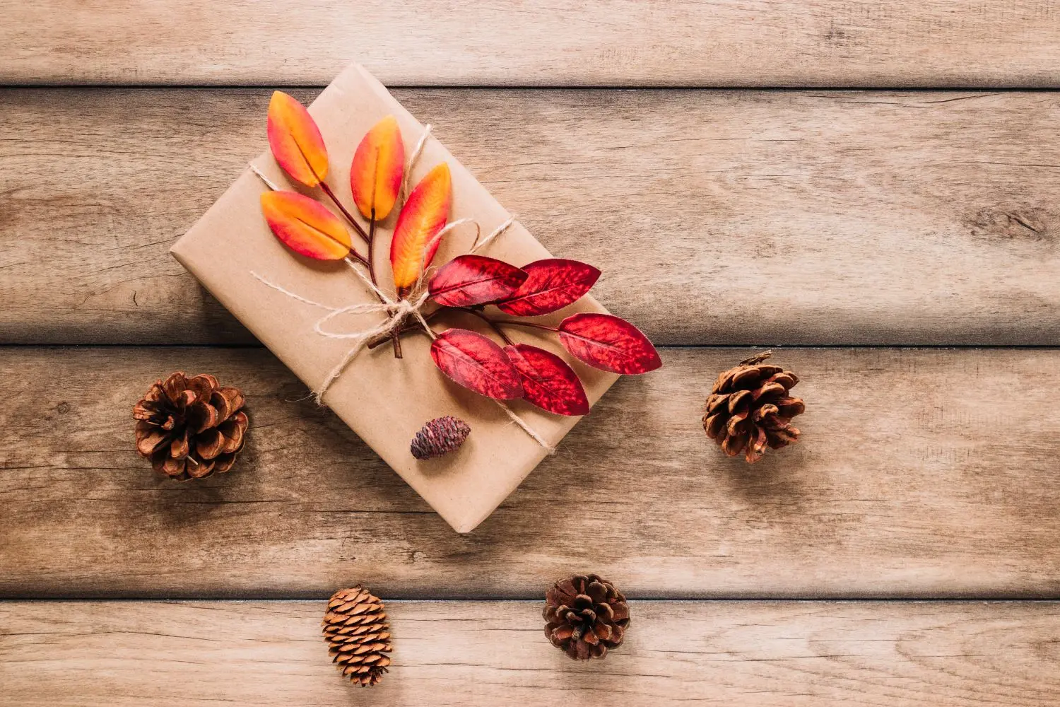 Rendez-vous d'hiver - Guilvinec - Pays Bigouden - Bigoudenjoy