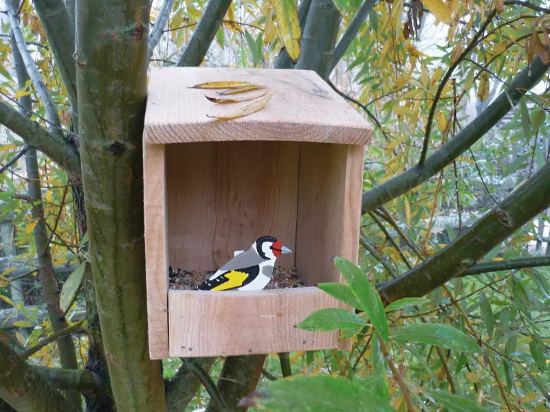 Fête de la Biodiversité à Terres d'Oiseaux - 800x600