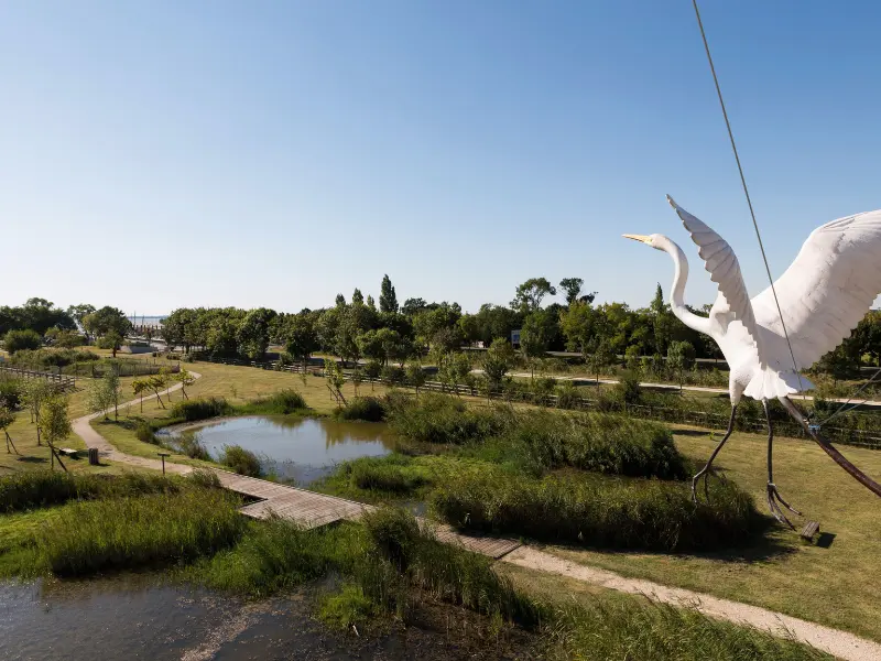 Fête de la Biodiversité à Terres d'Oiseaux - 800x600