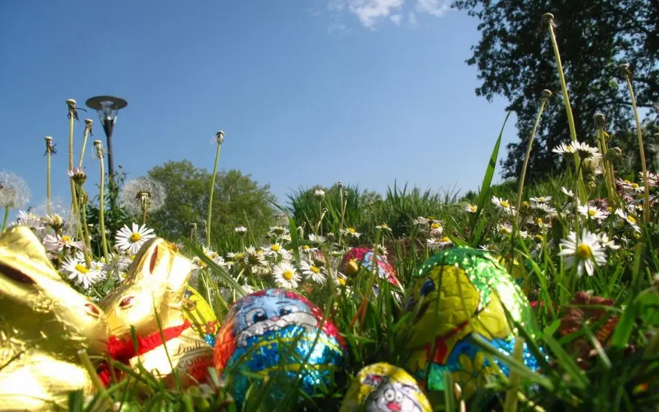 6793398_2b08e828-10a9-11e7-9596-a5ef1fbae542-1_1000x625 [800x600]