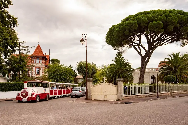 Petit train