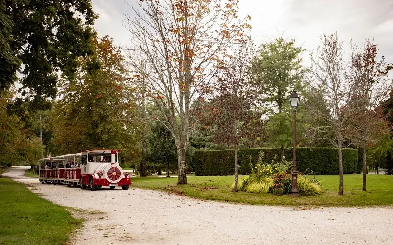 Petit train