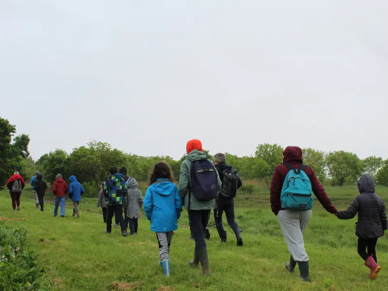 Activité Terres d'oiseaux - Jeunes aventuriers - 800x600