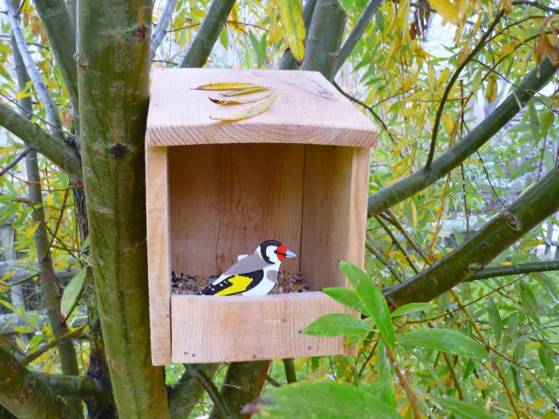 Activité mangeoire à Terres d'Oiseaux - 800x600