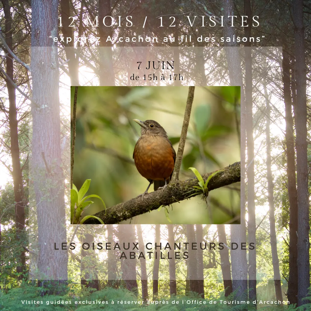 12 mois 12 visites - 11