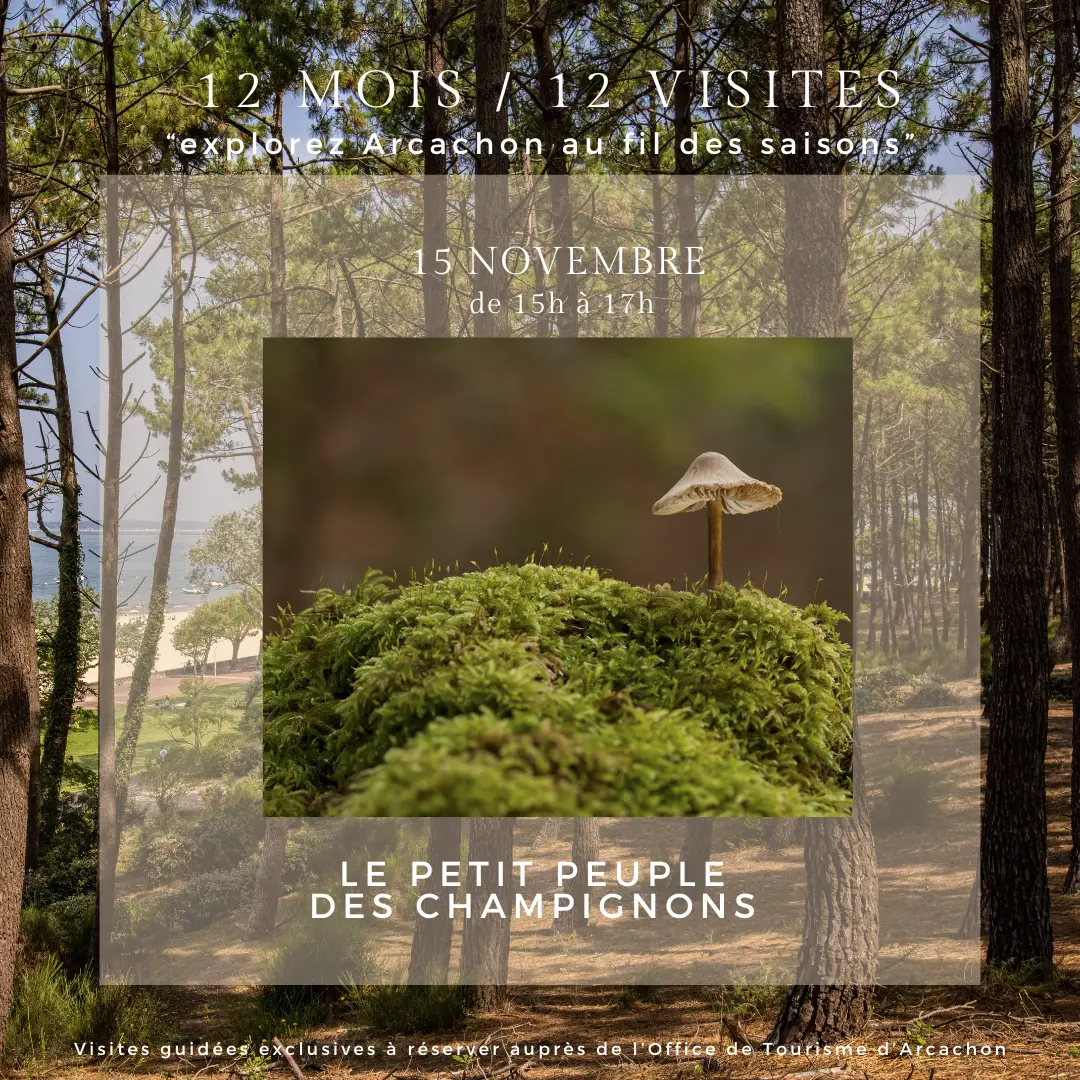 12 mois 12 visites - 21