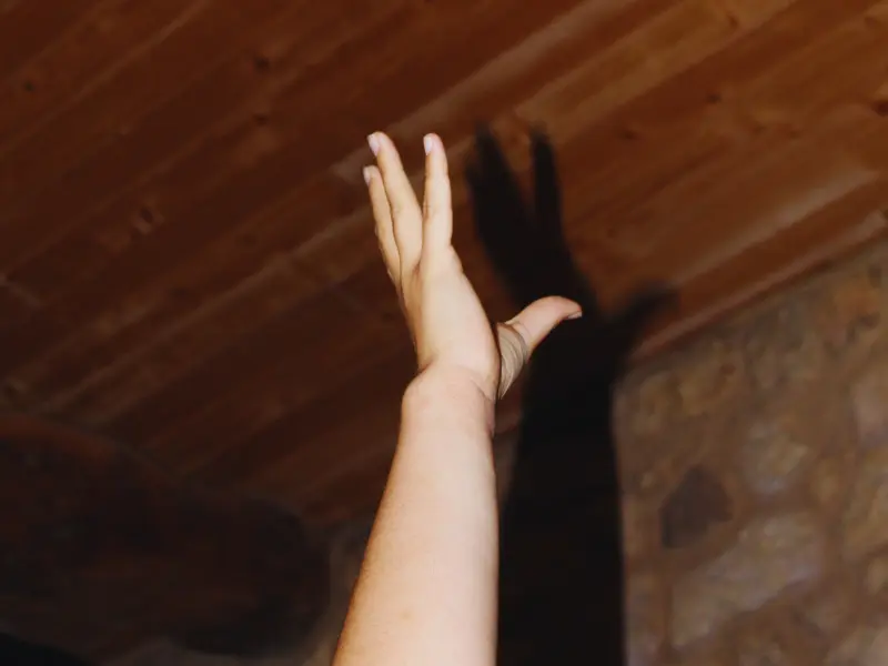 Escape Game - Terres d'Oiseaux / 800x600