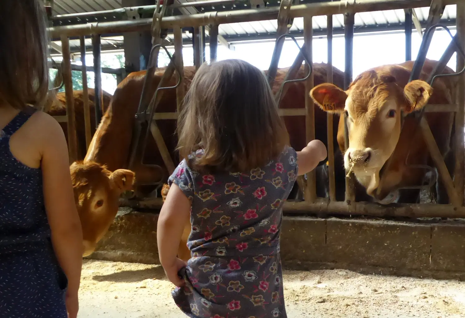 BESSINES Ferme Lavaud Pacaud