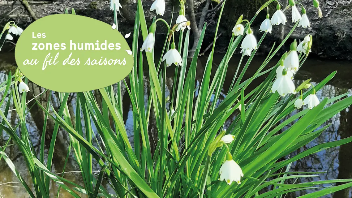 2026 03 25 - JMZH PNR - Labarde