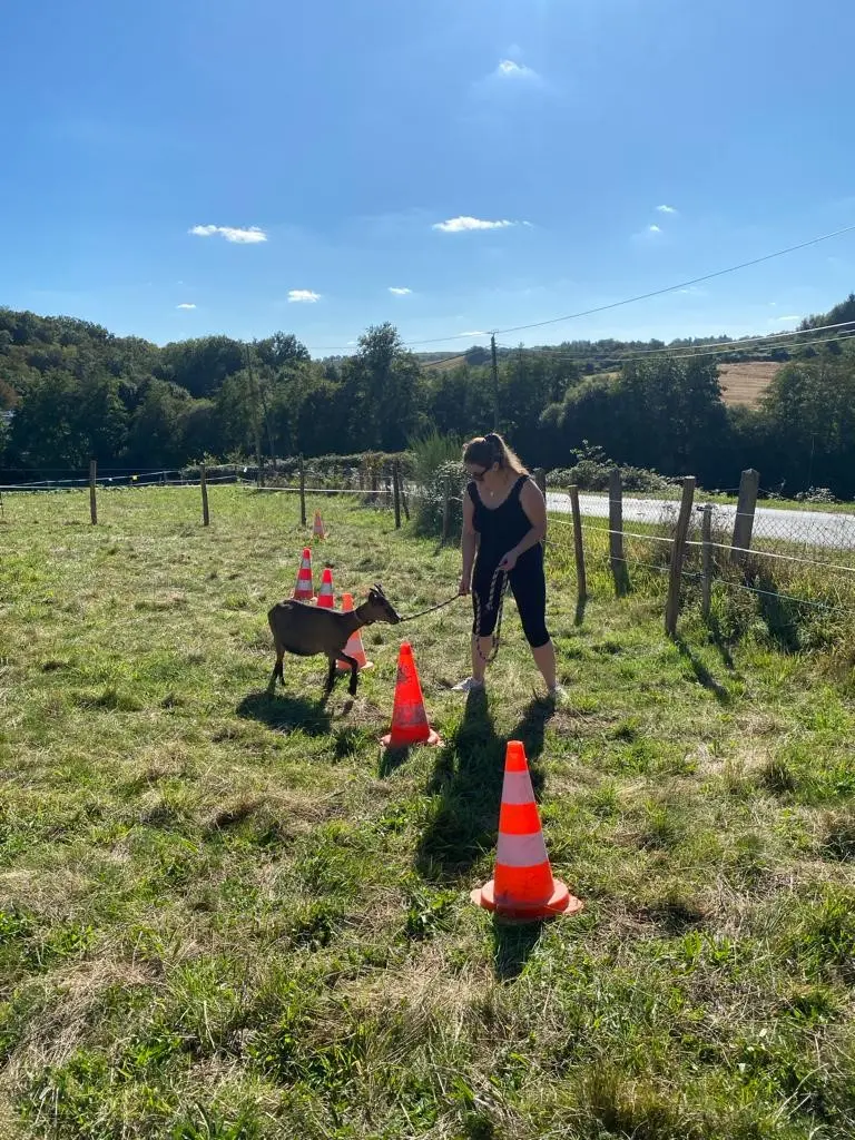 Travail à pied