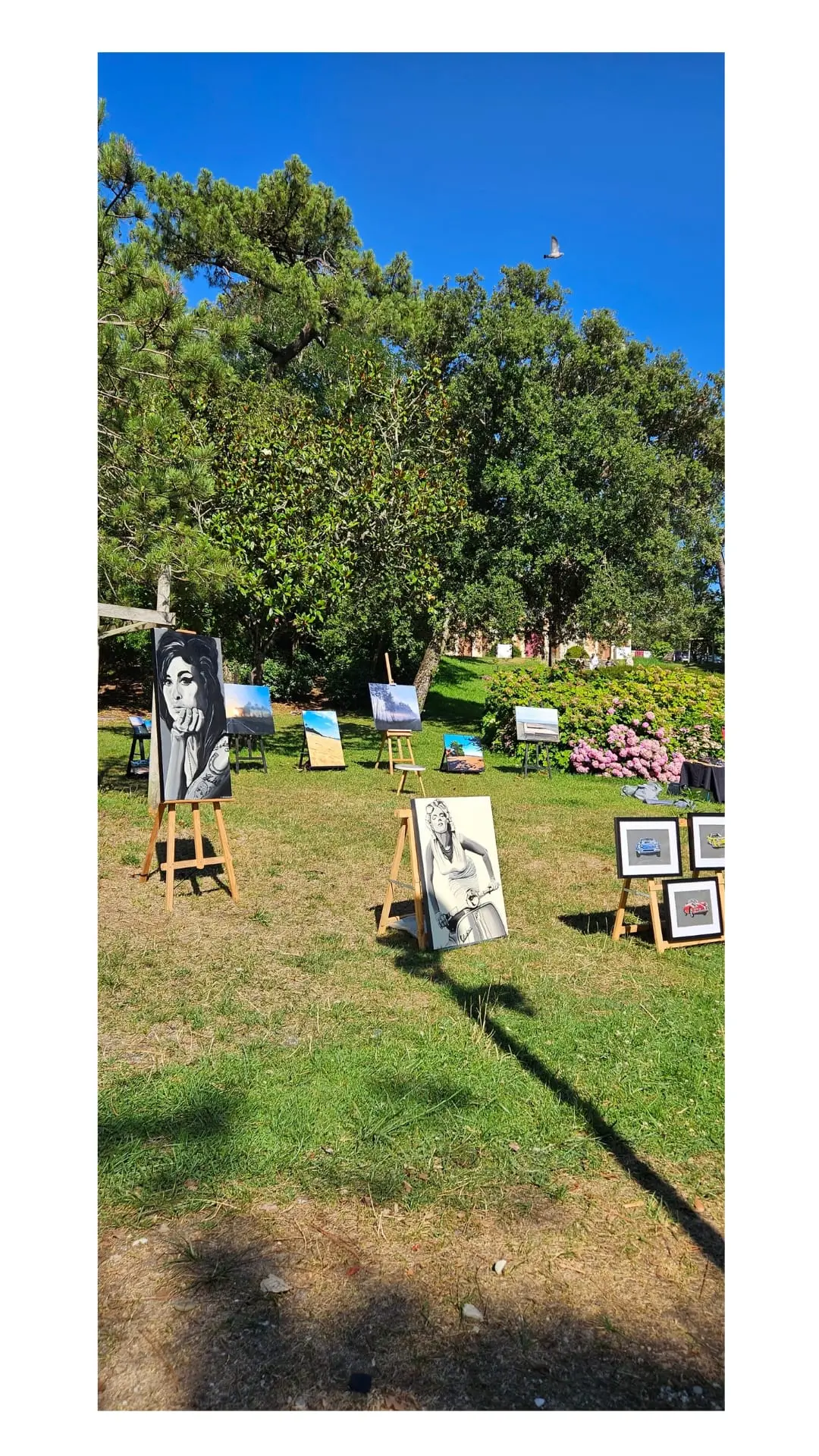 36 - RENCONTRES ARTISTIQUE DU MOULEAU